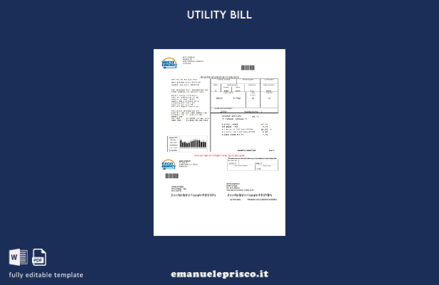 stile verificato Modello di bolletta delle utenze USA Florida Seco Energy